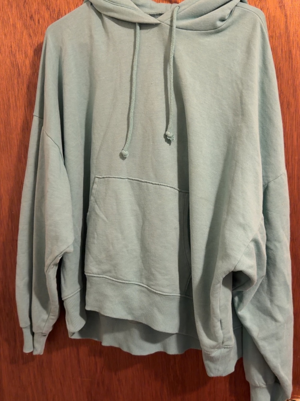 American Eagle Outfitters Light Sage Pullover Hoodie